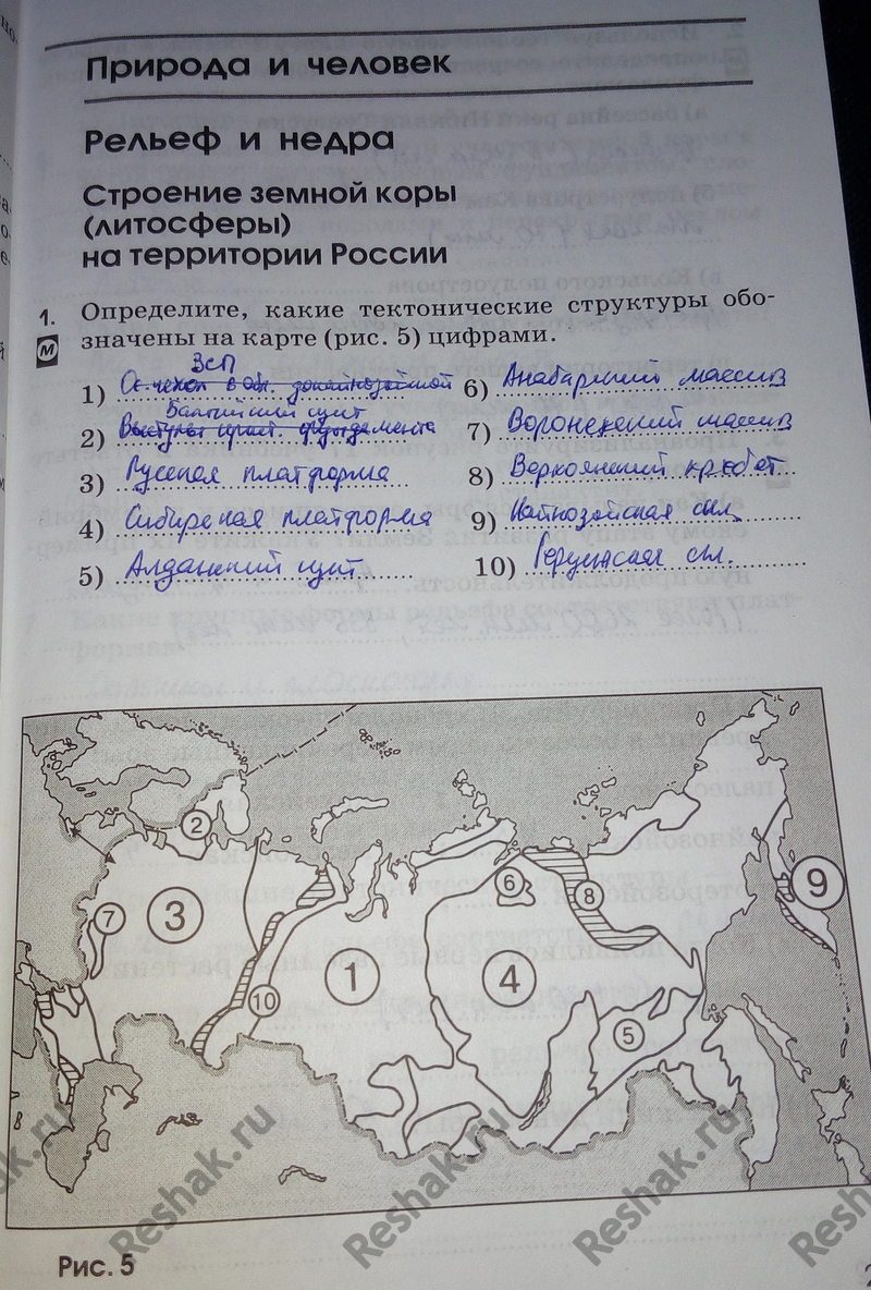Картинка ГДЗ - Тема 21 ГДЗ Алексеева Ким 8 класс рабочая тетрадь по географии Вариант 1