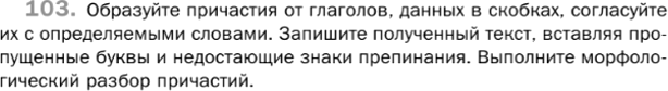 Картинка ГДЗ - задания Упражнение 103 Глава 5 по русскому языку ГДЗ Шмелев 6 класс
